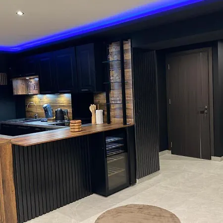 T4 Luxe Apartment Albertville